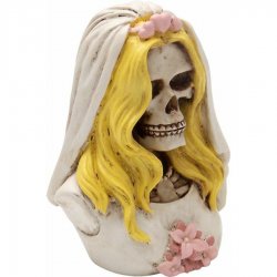 American Shifter - ASCSN06048