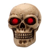 American Shifter - ASCSN06059