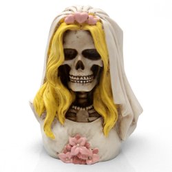 American Shifter - ASCSN06048