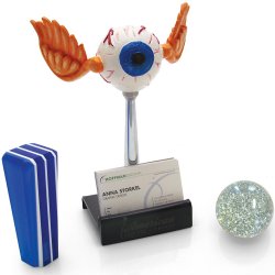 American Shifter - ASCDSS001