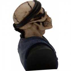 American Shifter - ASCSN06019