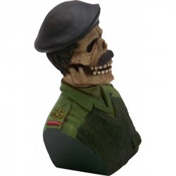 American Shifter - ASCSN06020