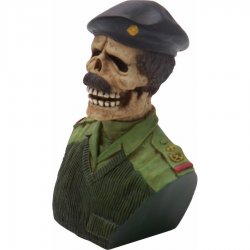 American Shifter - ASCSN06020