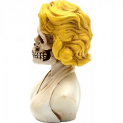 American Shifter - ASCSN06056