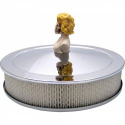 American Shifter - ASCSN06056