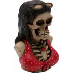 American Shifter - ASCSN06039