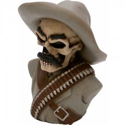 American Shifter - ASCSN06045